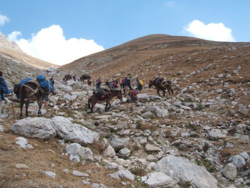 trekking con i muli-137.JPG